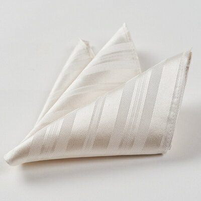 【ふるさと納税】シルク・ポケットチーフ　(ホワイト)【1531123】 サムネイル2