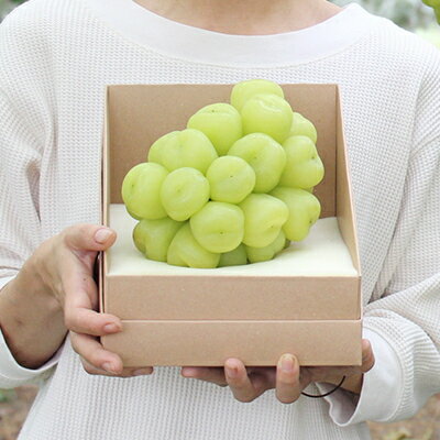 【ふるさと納税】2026年先行予約　雄宝　1房　1キロ【配送不可地域：離島】【1616174】 サムネイル2