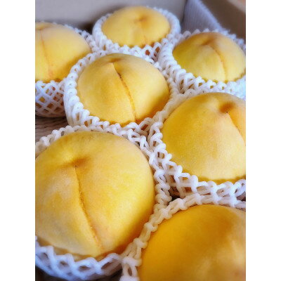 【先行予約★2026年9月中旬より順次発送予定】岡山県産　黄金桃(2kg箱)【配送不可地域：離島・北海道・沖縄県】【1667464】