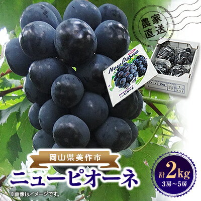 【2026年先行予約】ニューピオーネ　2kg(3房～5房)【配送不可地域：離島】【1074126】