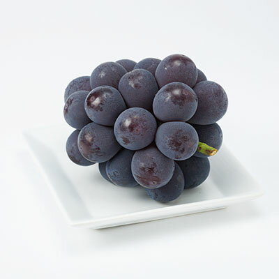 【ふるさと納税】【2026年先行予約】ニューピオーネ　2kg(3房～5房)【配送不可地域：離島】【1074126】 サムネイル2