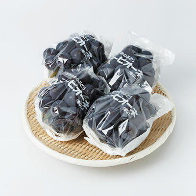 【ふるさと納税】【2026年先行予約】ニューピオーネ　2kg(3房～5房)【配送不可地域：離島】【1074126】 サムネイル3