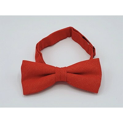 【ふるさと納税】クラバットユキジ製　デニム蝶ネクタイ(ストロベリーレッド)【1095842】 サムネイル2