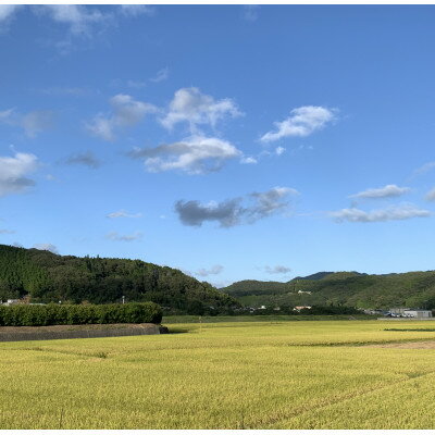 【ふるさと納税】【令和7年産】新米・精米　きぬむすめ5kg&いちご詰合せ(約280g×2パック)【配送不可地域：離島・北海道・沖縄県】【1676469】 サムネイル3