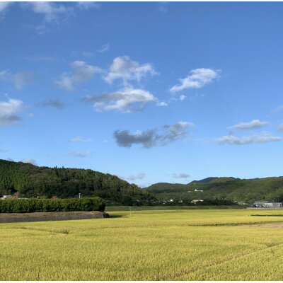 【ふるさと納税】【令和7年産】新米・精米　きぬむすめ2kg&いちご詰合せ(約280g×4パック)【配送不可地域：離島・北海道・沖縄県】【1676470】 サムネイル3