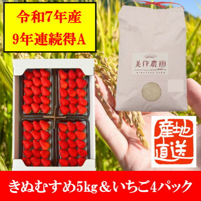 【令和7年産】新米・精米　きぬむすめ5kg&いちご詰合せ(約280g×4パック)【配送不可地域：離島・北海道・沖縄県】【1676471】