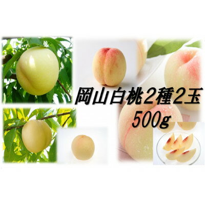 岡山白桃食べ比べ　晩生2種2玉【配送不可地域：離島】【1684882】