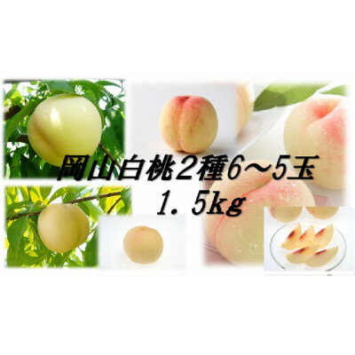 岡山白桃食べ比べ　晩生種2種5～6玉【配送不可地域：離島】【1684889】