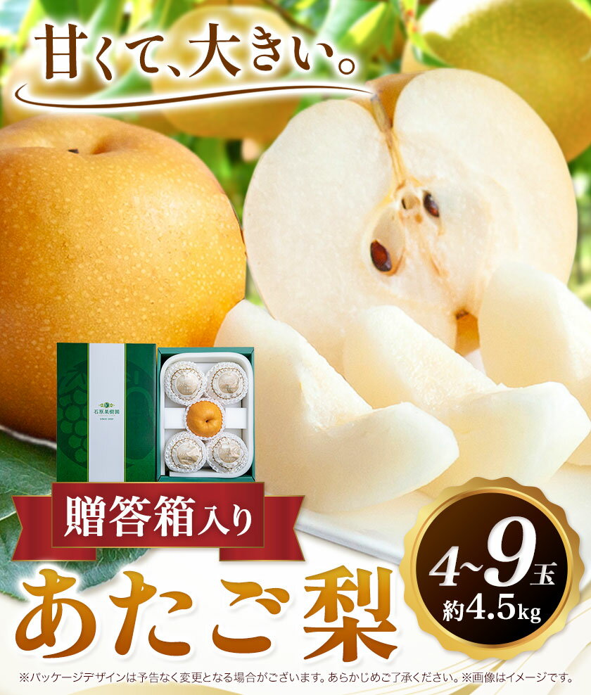 【ふるさと納税】【2025年先行予約】梨 あたご梨 4 から 9玉 計4.5kg 贈答箱 石原果樹園 《2025年11月中旬-1月上旬頃より発送予定》岡山県 浅口市 フルーツ 果物 ギフト 贈り物 国産 岡山県産 送料無料 サムネイル3