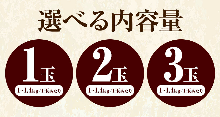 【ふるさと納税】【2025年先行予約】梨 横綱梨 超大玉 選べる内容量 プレミアム箱 石原果樹園 《2025年11月中旬-1月上旬頃より発送予定》岡山県 浅口市 フルーツ 果物 ギフト 贈り物 国産 岡山県産 送料無料 サムネイル3
