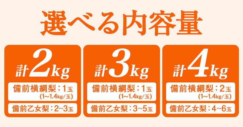 【ふるさと納税】【令和6年度先行予約】梨 なし 横綱梨 乙女梨 選べる内容量 石原果樹園 フルーツ 果物 新鮮《2025年11月下旬-12月中旬頃より発送予定》岡山県 浅口市 果物 フルーツ 梨 詰め合わせ あたご梨 鴨梨 サムネイル3