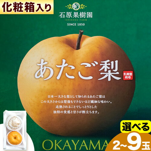 【2025年先行予約】あたご 梨 選べる内容量 化粧箱 石原果樹園 《2025年11月中旬-1月上旬頃より発送予定》岡山県 浅口市 フルーツ 果物 ギフト 贈り物 国産 岡山県産 送料無料