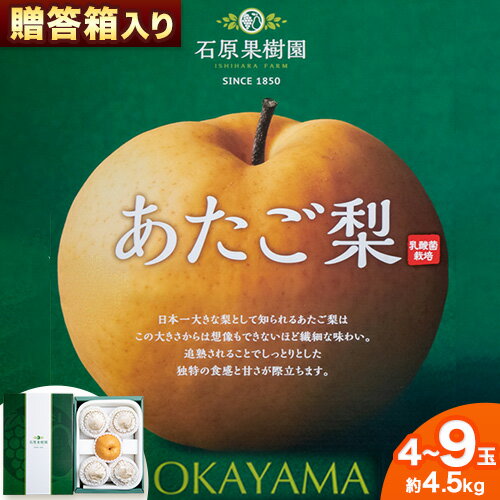 【2025年先行予約】梨 あたご梨 4 から 9玉 計4.5kg 贈答箱 石原果樹園 《2025年11月中旬-1月上旬頃より発送予定》岡山県 浅口市 フルーツ 果物 ギフト 贈り物 国産 岡山県産 送料無料