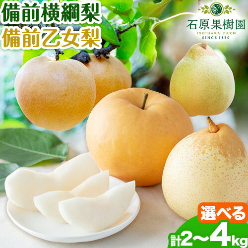 【令和6年度先行予約】梨 なし 横綱梨 乙女梨 選べる内容量 石原果樹園 フルーツ 果物 新鮮《2025年11月下旬-12月中旬頃より発送予定》岡山県 浅口市 果物 フルーツ 梨 詰め合わせ あたご梨 鴨梨
