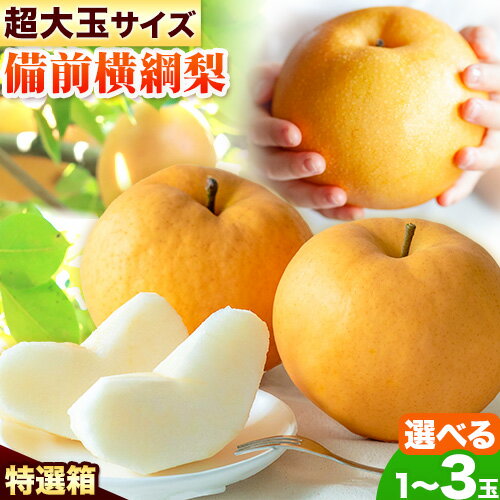 【2025年先行予約】梨 横綱梨 超大玉 選べる内容量 プレミアム箱 石原果樹園 《2025年11月中旬-1月上旬頃より発送予定》岡山県 浅口市 フルーツ 果物 ギフト 贈り物 国産 岡山県産 送料無料