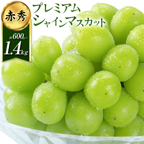 【2026年先行予約】プレミアム シャインマスカット 船穂 赤秀品 晴王 選べる内容量《2026年9月中旬-10月中旬頃出荷》晴レ乃青果　(岡山中央卸売市場店(富士紙工 有限会社)) マスカット 岡山県 浅口市 フルーツ 果物 ギフト 国産 【配送不可地域あり】