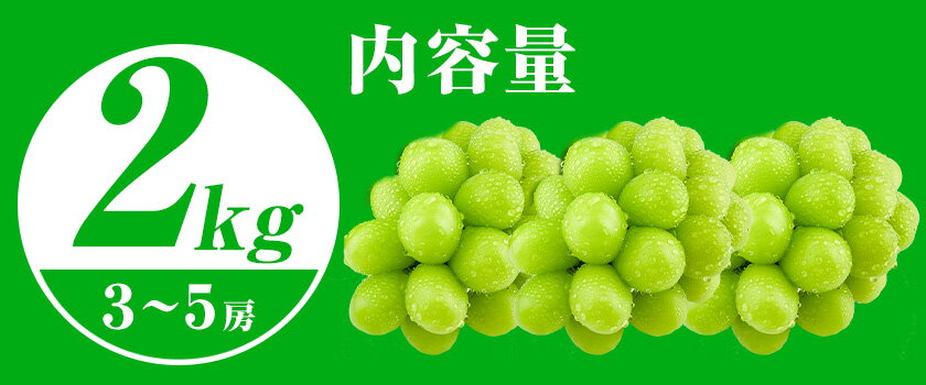 【2026年先行予約】【ふるさと納税】シャインマスカット 晴王 2kg(3房〜5房) 岡山県産《2026年9月上旬-10月末頃出荷》 ハレノフルーツ マスカット 送料無料 岡山県 浅口市 フルーツ 果物 贈り物 ギフト 国産 岡山県産【配送不可地域あり】 サムネイル3