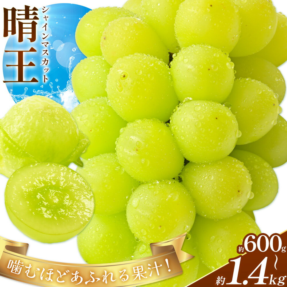 【2026年先行予約】ぶどう シャインマスカット 晴王 選べる 約600g 約700g 約1.2kg 約1.4kg 満天フルーツ《2026年9月上旬-10月末頃出荷(土日祝除く)》岡山県 浅口市 送料無料 マスカット フルーツ 果物 贈り物 ギフト 国産 岡山県産【配送不可地域あり】
