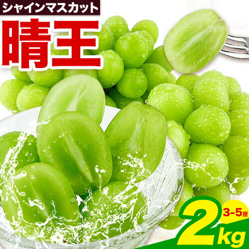 【2026年先行予約】シャインマスカット 晴王 2kg(3房〜5房) 岡山県産《2026年9月上旬-10月末頃出荷》 ハレノフルーツ マスカット 送料無料 岡山県 浅口市 フルーツ 果物 贈り物 ギフト 国産 岡山県産【配送不可地域あり】