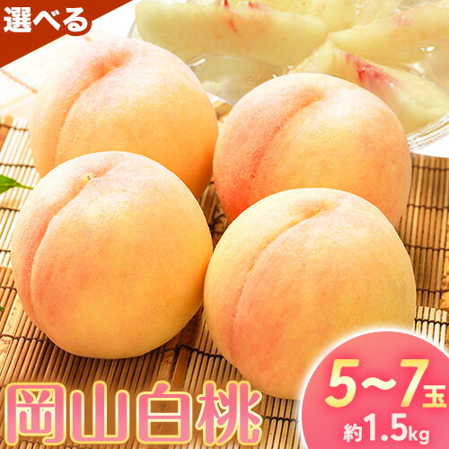 【2026年先行予約】桃 もも 岡山白桃 5〜7玉 約1.5kg 選べる品種 (加納岩もしくは白鳳) (夢白桃もしくは白麗) 岡山県産 環山堂株式会社《2026年7月上旬‐7月中旬頃出荷》岡山県 浅口市 白桃 果物 フルーツ 送料無料【配送不可地域あり】