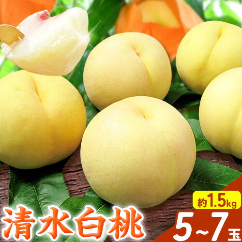 【2026年先行予約】桃 もも 清水白桃 5〜7玉 約1.5kg 岡山県産 環山堂株式会社【配送不可地域あり】《2026年7月中旬-7月下旬頃出荷》岡山県 浅口市 白桃 果物 フルーツ 送料無料