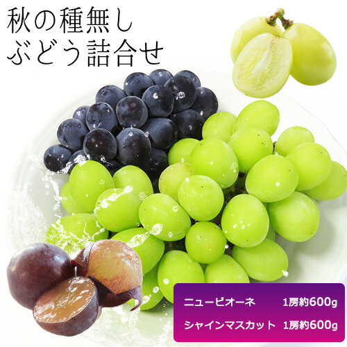 【2026年先行予約】秋の種無しぶどう詰合せ ニューピオーネ シャインマスカット 1房約600g 環山堂株式会社《2026年9月上旬-10月上旬頃より発送予定》岡山県 浅口市 ニューピオーネ シャインマスカット ぶどう マスカット果物 フルーツ 送料無料