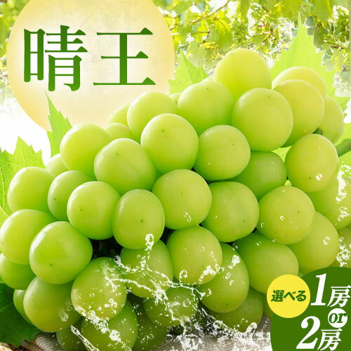 【2026年先行予約】秋のシャインマスカット 晴王 選べる 1房 2房 環山堂株式会社《2026年9月上旬-10月上旬頃より発送予定》岡山県 浅口市 シャインマスカット マスカット ぶどう 果物 フルーツ 送料無料
