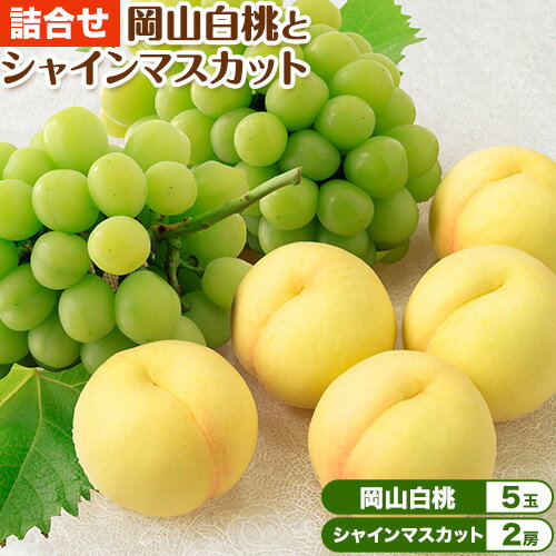 【2026年先行予約】岡山白桃 と シャインマスカット 詰合せ 5玉 約1.5kg 2房 計約1.2kg 環山堂株式会社《2026年7月中旬-8月上旬頃より発送予定》岡山県 浅口市 桃 マスカット ぶどう 詰め合わせ 果物 送料無料