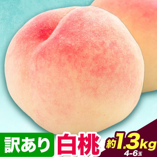 【2026年先行予約】訳あり 白桃 桃 1.3kg ハレノフルーツ （犬塚農園） 《2026年6月末-8月中旬頃出荷》岡山県 浅口市 フルーツ モモ 果物 青果 旬 おかやま夢白桃 白麗 白鳳 清水白桃 なつごころ 加納岩白桃 ご家庭用【配送不可地域あり】
