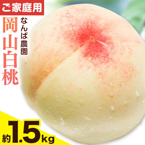 【2026年先行予約】ご家庭用 岡山白桃 約1.5kg ( 6玉 前後 ) 《2026年6月中旬-8月下旬頃出荷》なんば農園 岡山県 浅口市 フルーツ モモ 果物 青果 旬 白桃 桃 訳アリ わけあり 訳あり 【配送不可地域あり】