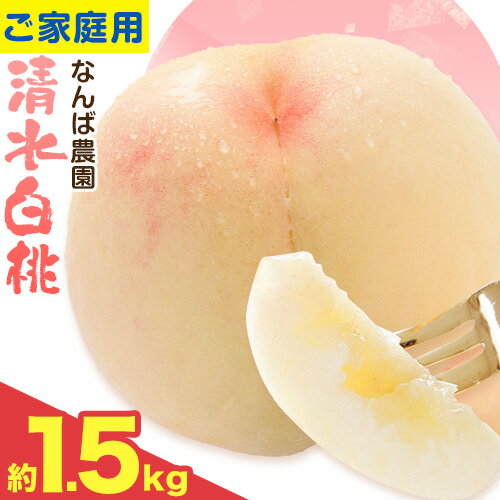 【2026年先行予約】ご家庭用 清水白桃 約1.5kg ( 6玉 前後 ) 《2026年7月上旬-7月下旬頃出荷》なんば農園 岡山県 浅口市 フルーツ モモ 果物 青果 旬 白桃 桃 訳アリ わけあり 訳あり【配送不可地域あり】