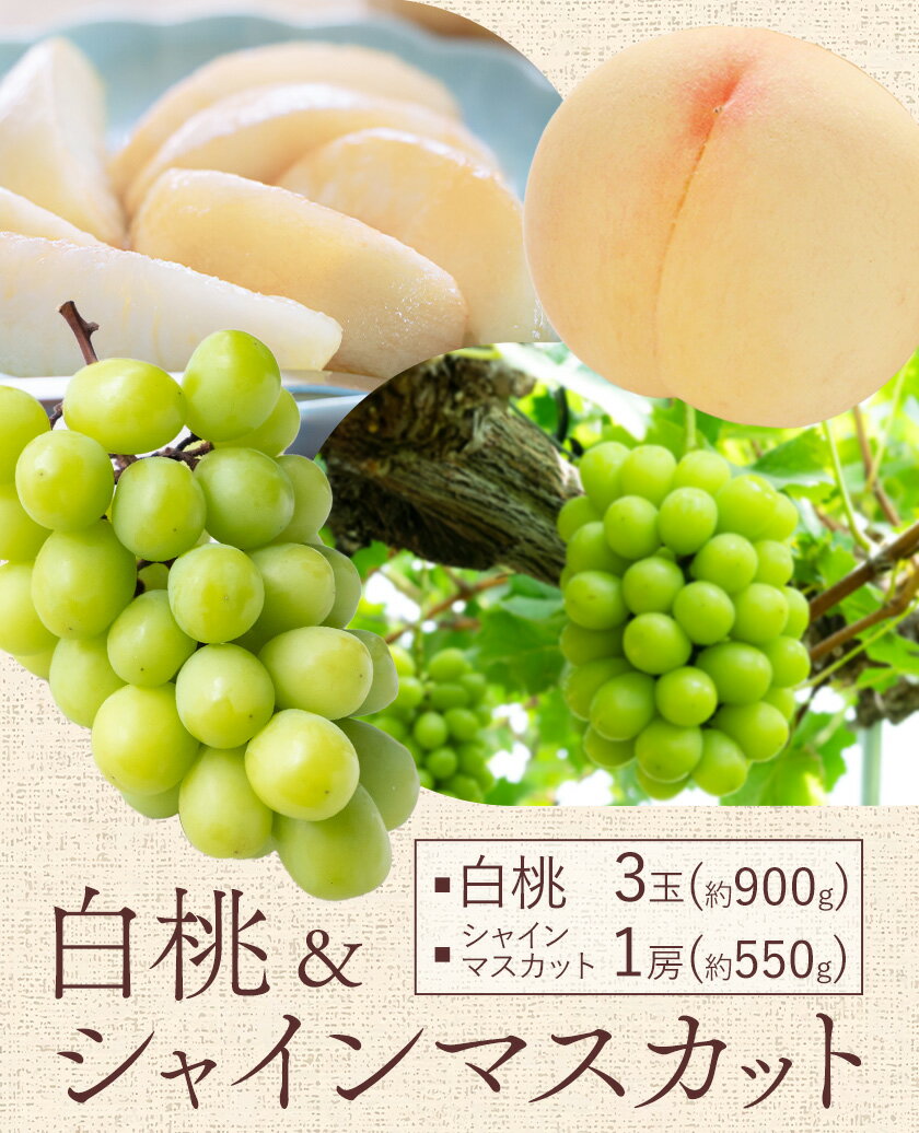 【ふるさと納税】【2026年先行予約】桃 ぶどう 白桃 3玉 約900g（1玉約300g）シャインマスカット 晴王 1房 550g以上 もも 葡萄 詰合せ 岡山 国産 フルーツ 果物 ギフト 桃茂實苑《2026年6月中旬-8月中旬頃出荷》岡山県 浅口市 フルーツ ぶどう 果物 青果【配送不可地域あり】 サムネイル2