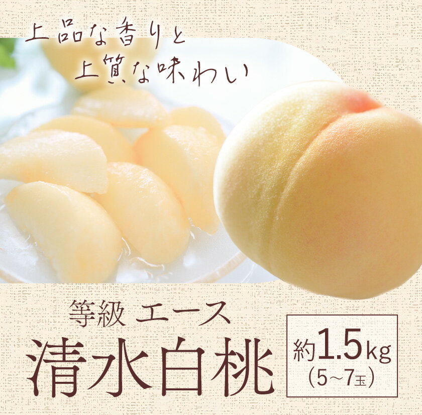【ふるさと納税】【2026年先行予約】清水 白桃 等級 エース 約1.5kg 5〜7玉入りもも モモ 岡山 国産 フルーツ 果物 ギフト 桃茂實苑《2026年7月中旬-8月上旬頃出荷》岡山県 浅口市 フルーツ モモ 果物 青果 旬 白桃 国産 岡山県産【配送不可地域あり】 サムネイル2