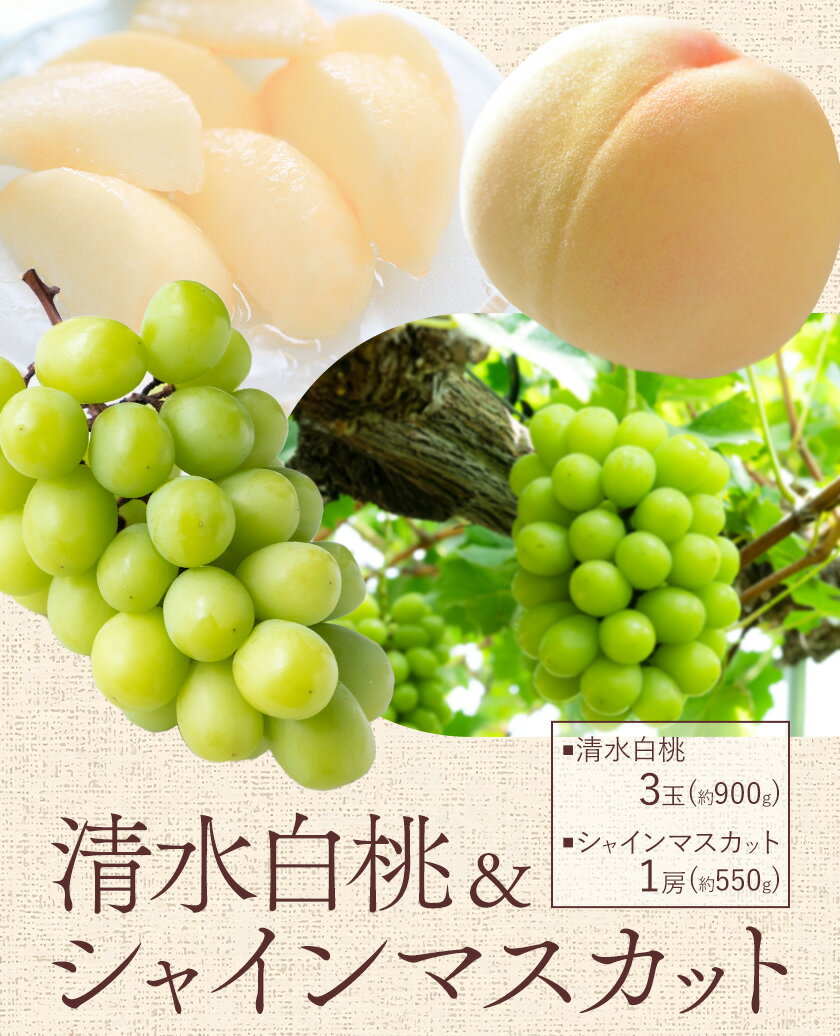 【ふるさと納税】【2026年先行予約】清水 白桃 3玉 計約900g（1玉約300g）シャインマスカット 晴王 1房 550g以上 もも 葡萄 詰合せ 岡山 国産 フルーツ 果物 ギフト 桃茂實苑《2026年7月中旬-8月上旬頃出荷》岡山県 浅口市 フルーツ ぶどう 桃 果物 青果【配送不可地域あり】 サムネイル2