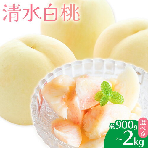 【2026年先行予約】清水白桃 選べる内容量 約900g 約1.5kg 約2kg もも モモ 岡山 国産 フルーツ 果物 桃茂實苑《2026年7月中旬-8月上旬頃出荷》岡山県 浅口市 フルーツ モモ 果物 青果 旬 白桃 国産 岡山県産【配送不可地域あり】
