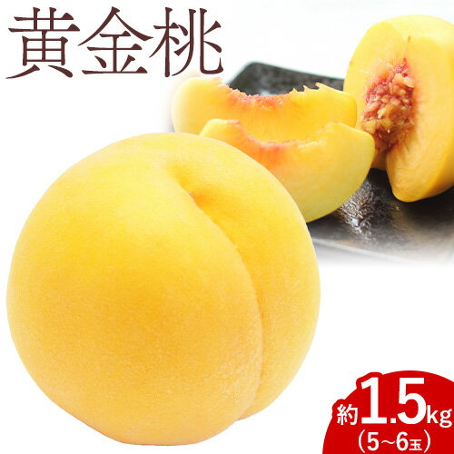 【2026年先行予約】黄金桃 1.5kg 5〜6玉 もも モモ 岡山 国産 フルーツ 果物 ギフト 桃茂實苑《2026年8月中旬-9月上旬頃出荷》岡山県 浅口市 フルーツ 桃 果物 青果【配送不可地域あり】
