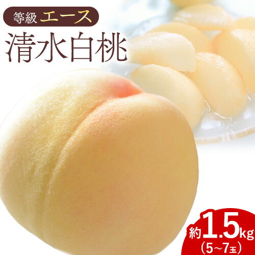 【2026年先行予約】清水 白桃 等級 エース 約1.5kg 5〜7玉入りもも モモ 岡山 国産 フルーツ 果物 ギフト 桃茂實苑《2026年7月中旬-8月上旬頃出荷》岡山県 浅口市 フルーツ モモ 果物 青果 旬 白桃 国産 岡山県産【配送不可地域あり】