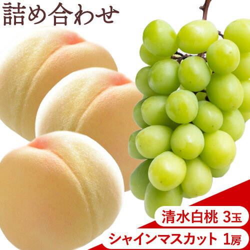 【2026年先行予約】清水 白桃 3玉 計約900g（1玉約300g）シャインマスカット 晴王 1房 550g以上 もも 葡萄 詰合せ 岡山 国産 フルーツ 果物 ギフト 桃茂實苑《2026年7月中旬-8月上旬頃出荷》岡山県 浅口市 フルーツ ぶどう 桃 果物 青果【配送不可地域あり】