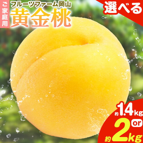 【2026年先行予約】桃 黄金桃 ご家庭用 選べる内容量 1.4kg (4〜6玉) 2kg (5〜8玉) フルーツファーム岡山《2026年8月中旬-8月末頃出荷》岡山県 浅口市 送料無料 フルーツ モモ 果物 青果 旬 国産 岡山県産【配送不可地域あり】