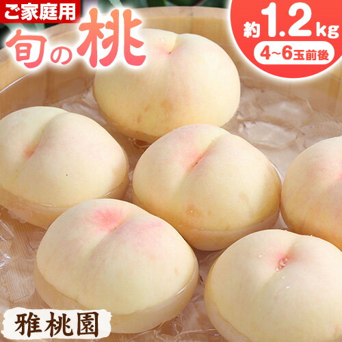 【2026年先行予約】ご家庭用 旬の桃 約1.2kg ( 4~6玉前後 ) 株式会社創・和(雅桃園) 《2026年7月上旬-8月上旬頃出荷》岡山県 浅口市 桃 もも フルーツ 果物 青果 旬 白桃 わけあり 訳あり【配送不可地域あり】