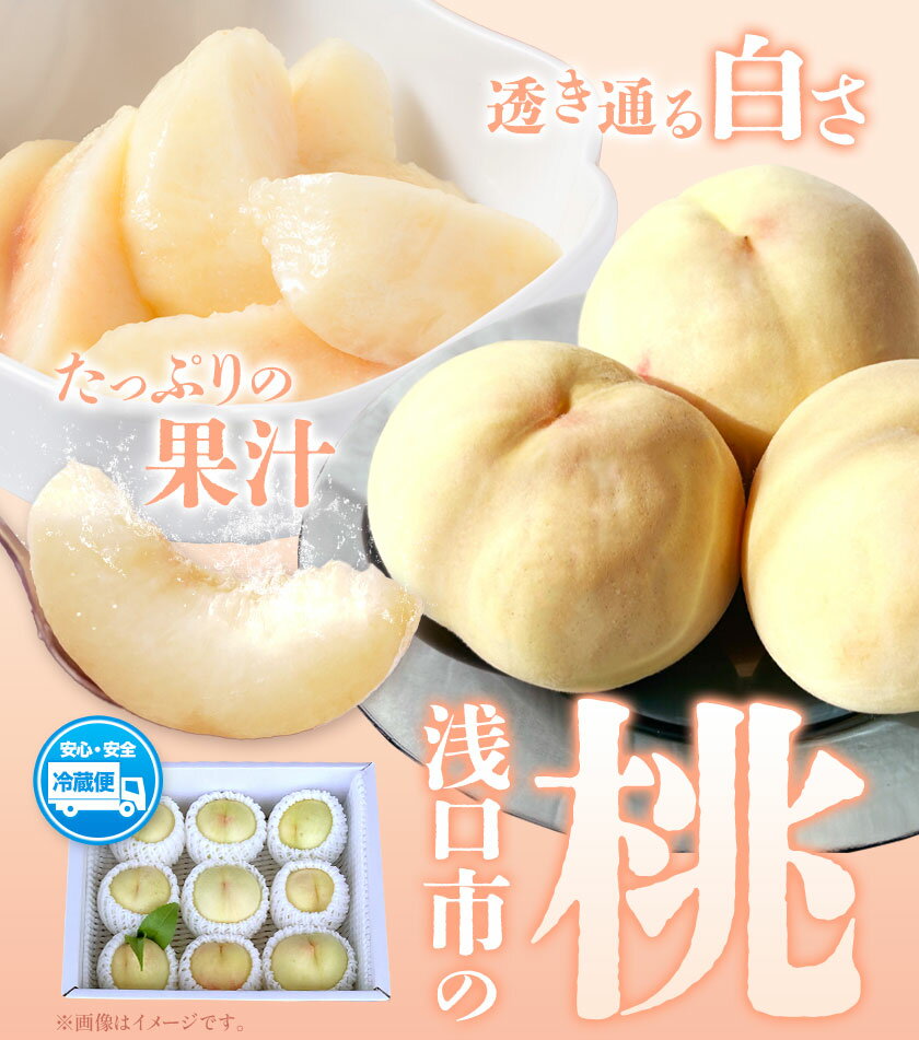 【ふるさと納税】【2026年先行予約】浅口市産 白桃 約1.3kg(5〜6玉) 約2kg(7〜9玉) SUEHIRO農園《2026年6月下旬-8月下旬頃出荷》岡山県 浅口市 フルーツ モモ 果物 青果 旬 白桃 国産 岡山県産 サムネイル2