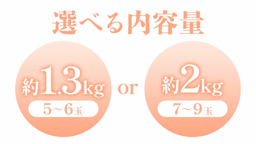 【ふるさと納税】【2026年先行予約】浅口市産 白桃 約1.3kg(5〜6玉) 約2kg(7〜9玉) SUEHIRO農園《2026年6月下旬-8月下旬頃出荷》岡山県 浅口市 フルーツ モモ 果物 青果 旬 白桃 国産 岡山県産 サムネイル3
