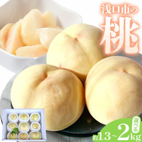 【2026年先行予約】浅口市産 白桃 約1.3kg(5〜6玉) 約2kg(7〜9玉) SUEHIRO農園《2026年6月下旬-8月下旬頃出荷》岡山県 浅口市 フルーツ モモ 果物 青果 旬 白桃 国産 岡山県産