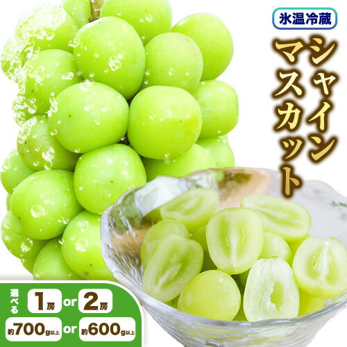 【氷温冷蔵】シャインマスカット 選べる 約700g以上 約600g以上 1房 2房 黒川農園《2025年11月上旬-12月下旬頃出荷》 ぶどう 送料無料 岡山県 浅口市 ぶどう フルーツ 果物 くだもの【配送不可地域あり】