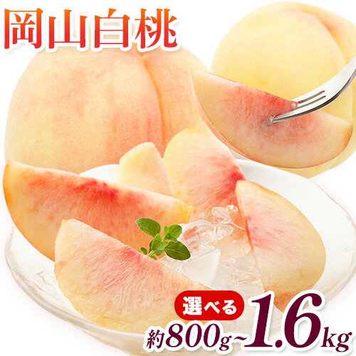 【2026年先行予約】桃 岡山白桃 選べる 800g 1.2kg 1.4kg 1.6kg 株式会社藍《2026年7月中旬-7月末頃出荷》 岡山県 浅口市 岡山県産 もも フルーツ 果物 くだもの 白桃 送料無料