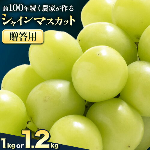 【2026年先行予約】ぶどう シャインマスカット 贈答用 農家こだわりの シャインマスカット 2房 または 2〜3房 約1kg 〜 1.2kg 《2026年9月中旬-10月下旬頃出荷(土日祝除く)》Nini farm マスカット 送料無料 岡山県 浅口市 フルーツ 果物 贈り物 青果物