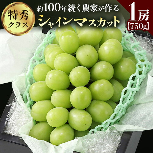 【2026年先行予約】ぶどう シャインマスカット 農家自慢の最高ランク シャインマスカット 1房 約750g 特秀クラス《2026年9月中旬-10月下旬頃出荷(土日祝除く)》 Nini farm マスカット 送料無料 岡山県 浅口市 フルーツ 果物 贈り物 国産 岡山県産