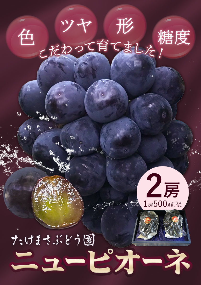 【ふるさと納税】【2026年先行予約】ぶどう ニューピオーネ 2房(1房500g前後) たけまさぶどう園 《2026年7月中旬-10月中旬頃出荷》岡山県 浅口市 送料無料 フルーツ 果物 岡山県産 青果物 ふるさと納税 ピオーネ 岡山 ふるさと納税 ぶどう 岡山【配送不可地域あり】 サムネイル2