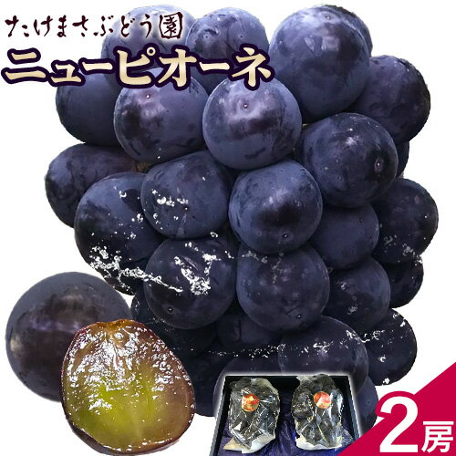 【2026年先行予約】ぶどう ニューピオーネ 2房(1房500g前後) たけまさぶどう園 《2026年7月中旬-10月中旬頃出荷》岡山県 浅口市 送料無料 フルーツ 果物 岡山県産 青果物 ふるさと納税 ピオーネ 岡山 ふるさと納税 ぶどう 岡山【配送不可地域あり】