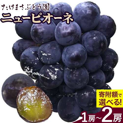 【2026年先行予約】ぶどう ニューピオーネ 選べる 1房(約600g前後) 2房(1房650g前後) たけまさぶどう園 《2026年7月中旬-10月上旬頃出荷》岡山県 浅口市 送料無料 フルーツ 果物 岡山県産 青果物 お取り寄せフルーツ【配送不可地域あり】(離島)